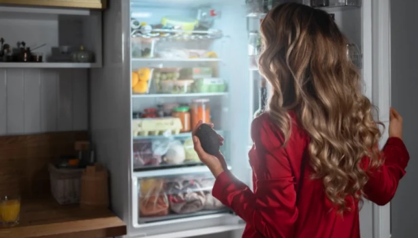 blog Kulkas Tidak Dingin Kenali Penyebab dan Cara Mengatasinya